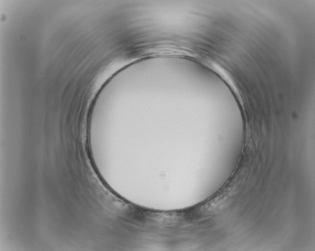 X0000088401195200706121227