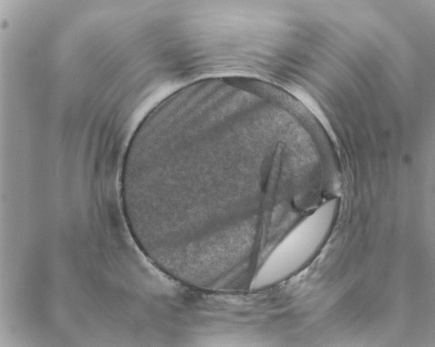 X0000088401197200706121227