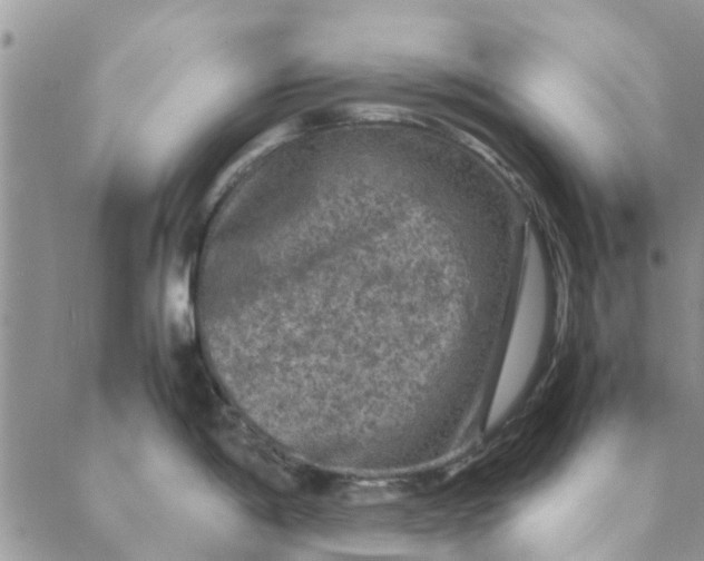 X0000088401198200706121227