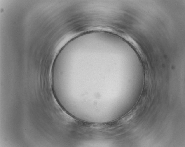 X0000088401199200706121227