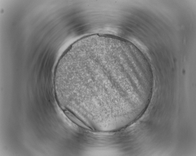 X0000088401200200706121227