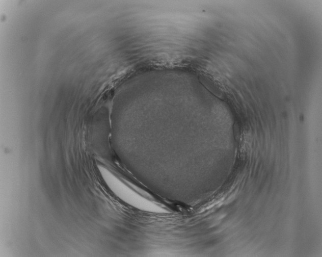 X0000088401202200706121226