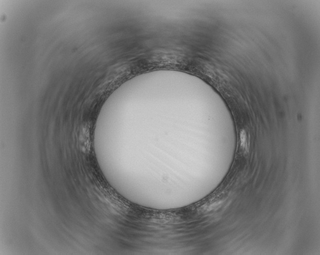 X0000088401203200706121226