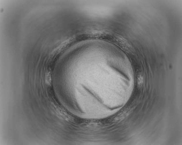 X0000088401204200706121226