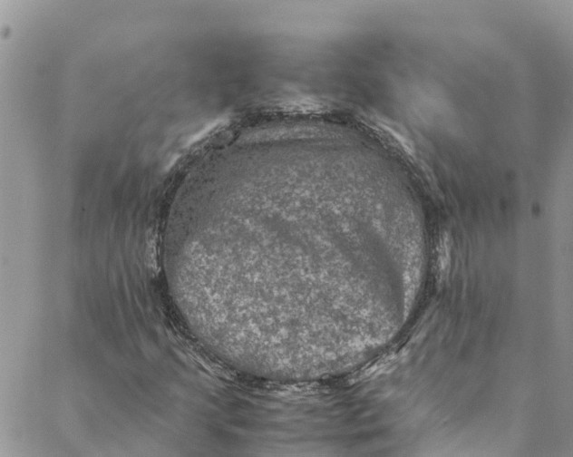 X0000088401205200706121226