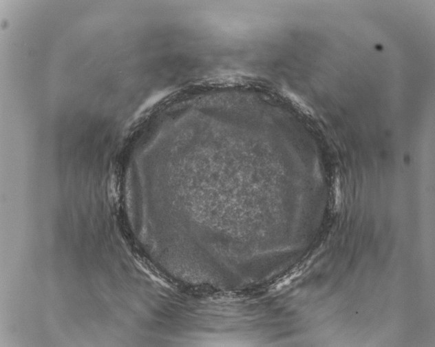 X0000088401206200706121226