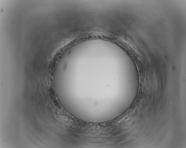 X0000088401207200706121226