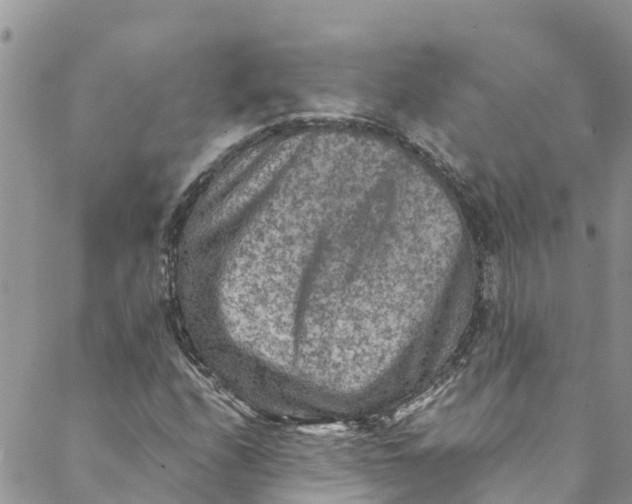 X0000088401208200706121226