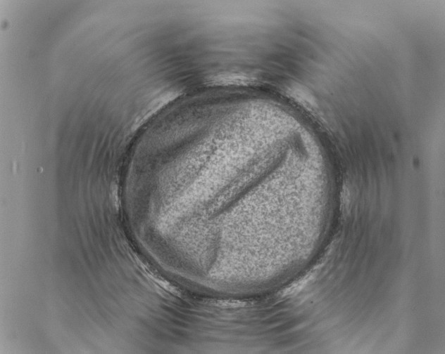 X0000088401209200706121226