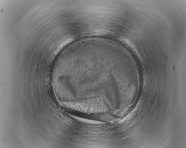 X0000088401210200706121226