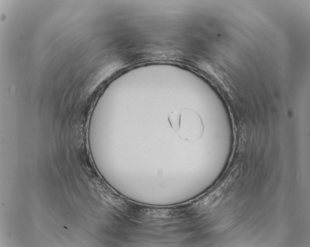 X0000088401211200706121226