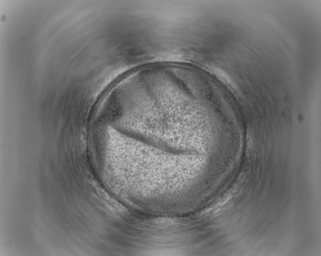 X0000088401212200706121226