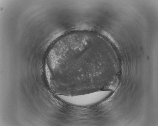 X0000088401213200706121226