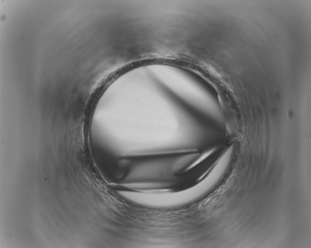 X0000088401214200706121226