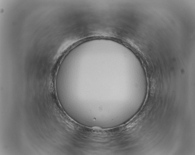 X0000088401215200706121226