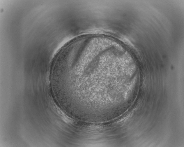 X0000088401216200706121226