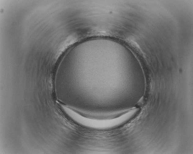 X0000088401218200706121226