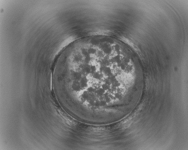 X0000088401219200706121226