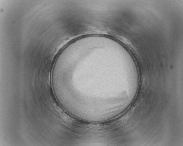 X0000088401220200706121226