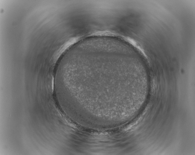 X0000088401221200706121227