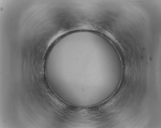 X0000088401222200706121227