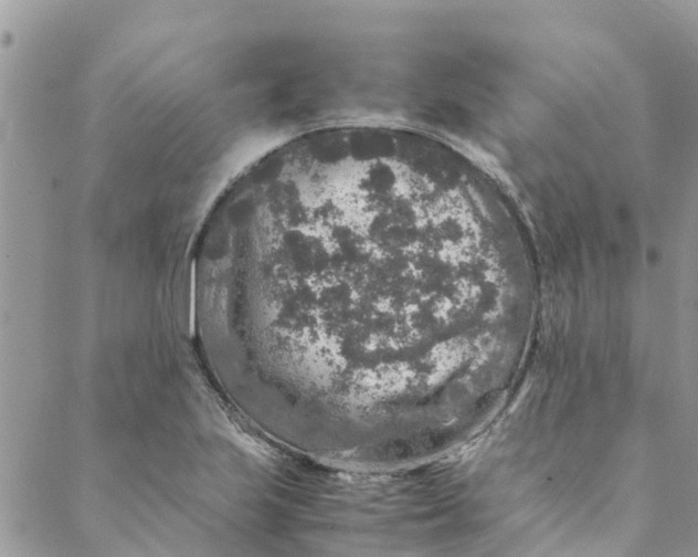 X0000088401223200706121227