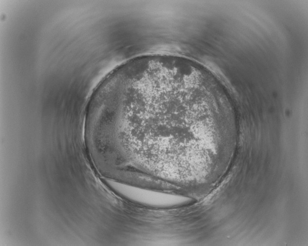 X0000088401224200706121227