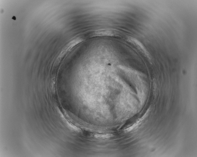 X0000088401225200706121227