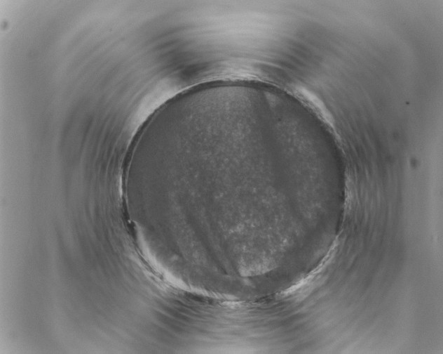 X0000088401226200706121227