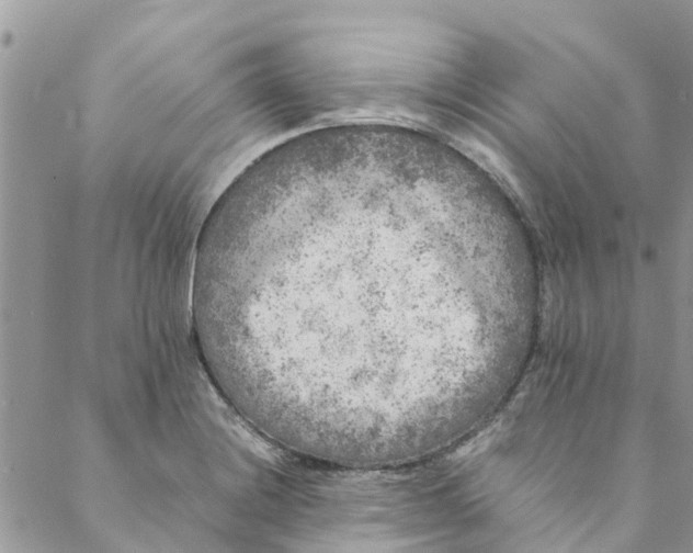 X0000088401228200706121227