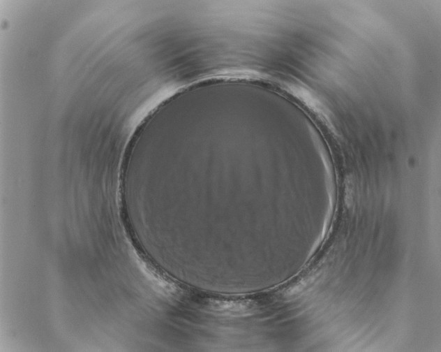 X0000088401229200706121227