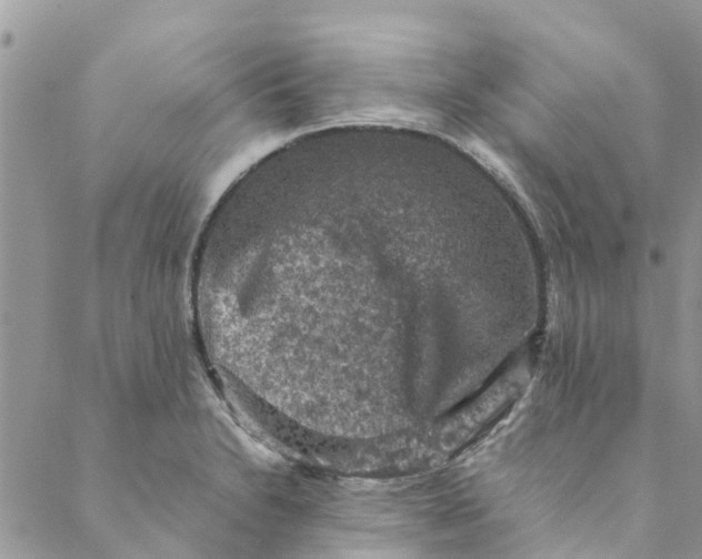 X0000088401230200706121227