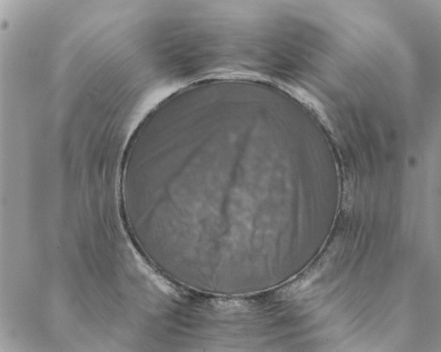 X0000088401231200706121227