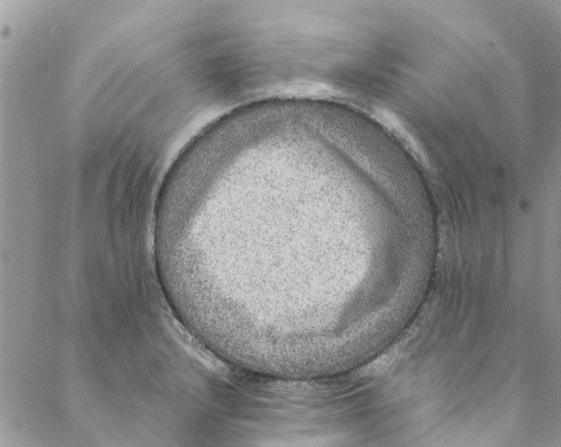 X0000088401232200706121227