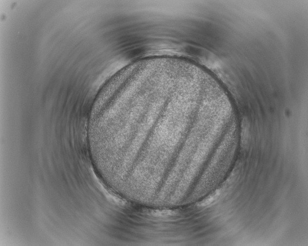 X0000088401233200706121227