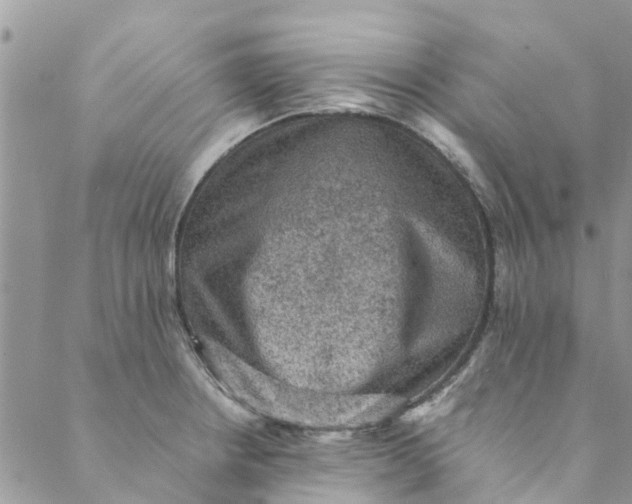 X0000088401234200706121227