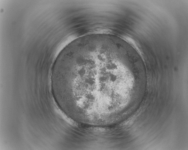 X0000088401235200706121227