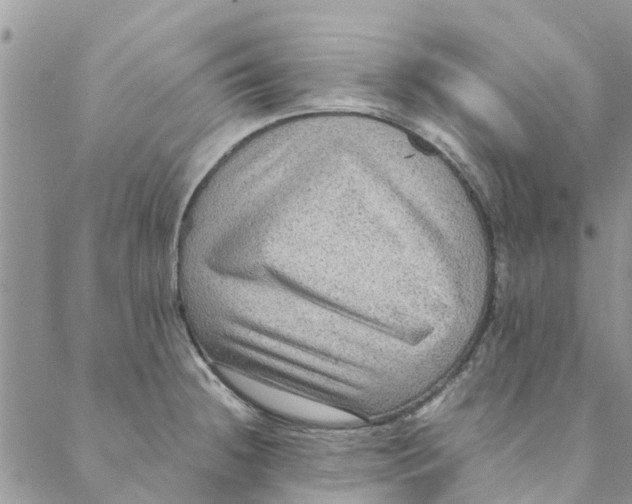 X0000088401236200706121227