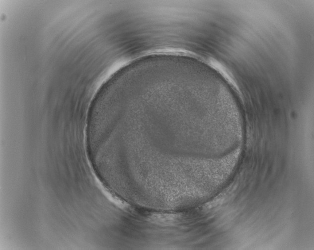 X0000088401237200706121227