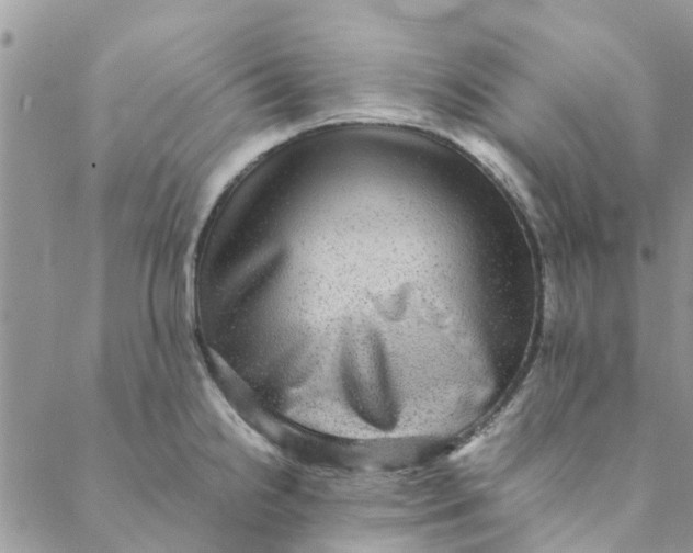 X0000088401238200706121227