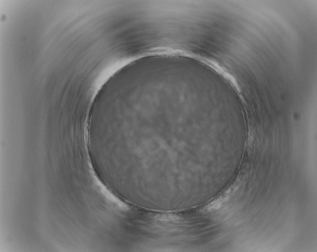 X0000088401239200706121227