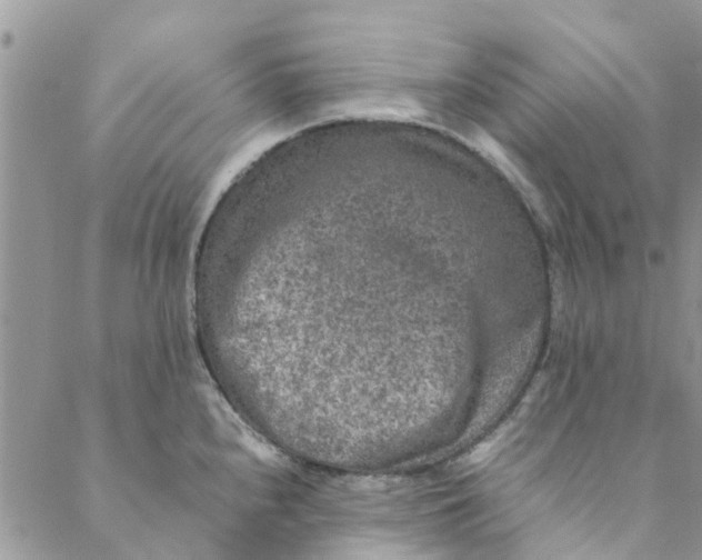 X0000088401240200706121227