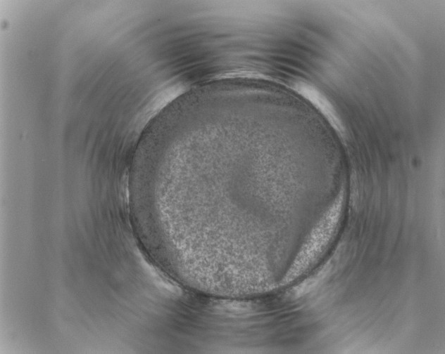 X0000088401241200706121227