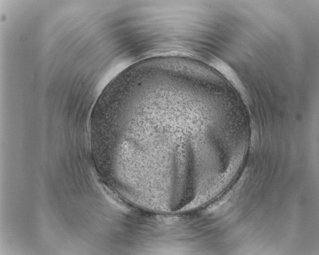 X0000088401242200706121227