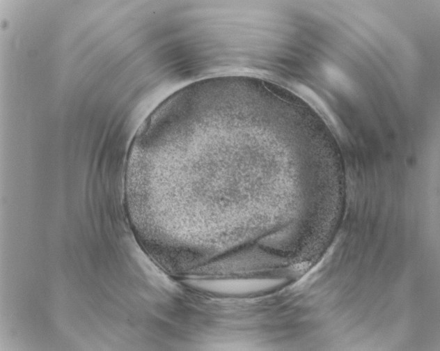 X0000088401244200706121227