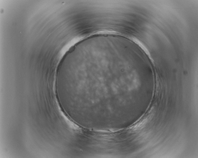 X0000088401245200706121227