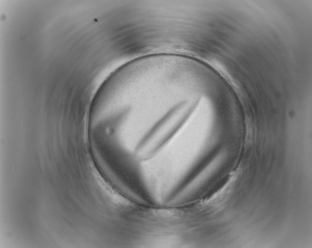 X0000088401246200706121227