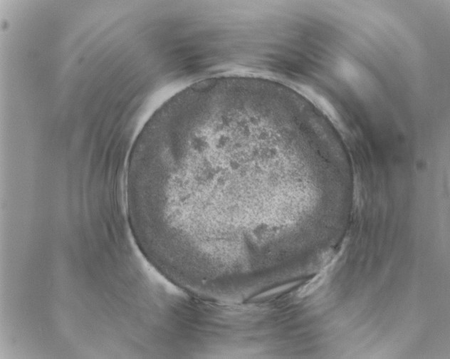 X0000088401247200706121227