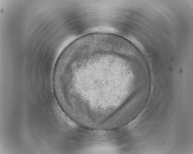 X0000088401248200706121227