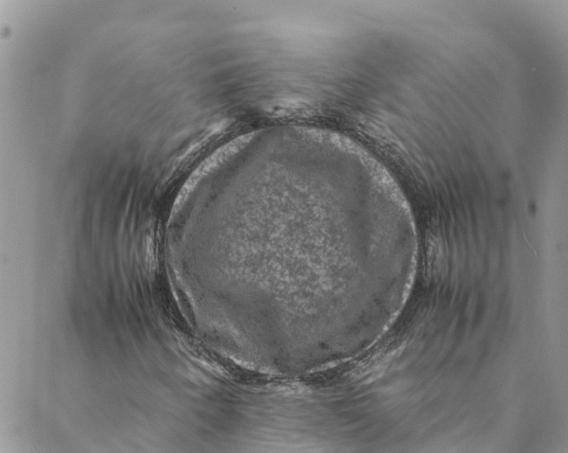 X0000088401250200706121226